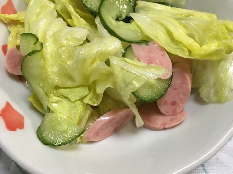 ポークウインナーで彩り☆生野菜サラダ(*^^*)